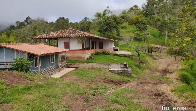Finca La Maria del Pilar - Finca en Fredonia, Antioquia